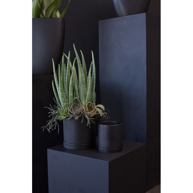 Jardinières en pot, Noir, H 7 po x l 7 po x P 7 po