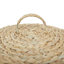 Seagrass Handmade Decorative and Functional Storage Basket with Liner and Matching Tops-1459274901