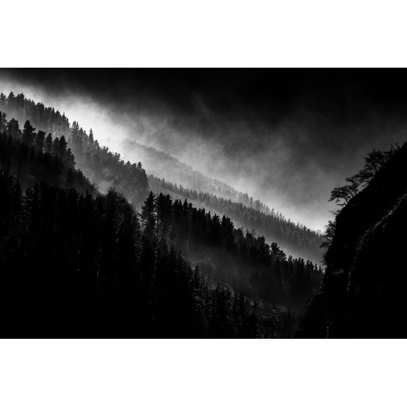 Hendley Foggy Forest by Mimadeo - Wrapped Canvas Print, 30cm H x 46cm W 3.8cm D