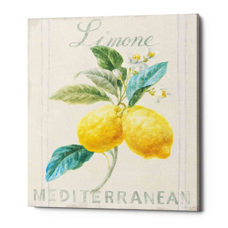 «Floursack Lemon III» par Danhui Nai, art mural sur toile, H 16 po x l 12 po x P 0,75 po