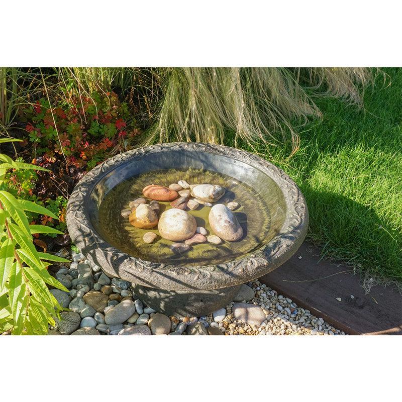 Salmeron Plastic / Acrylic Single Tier Birdbath