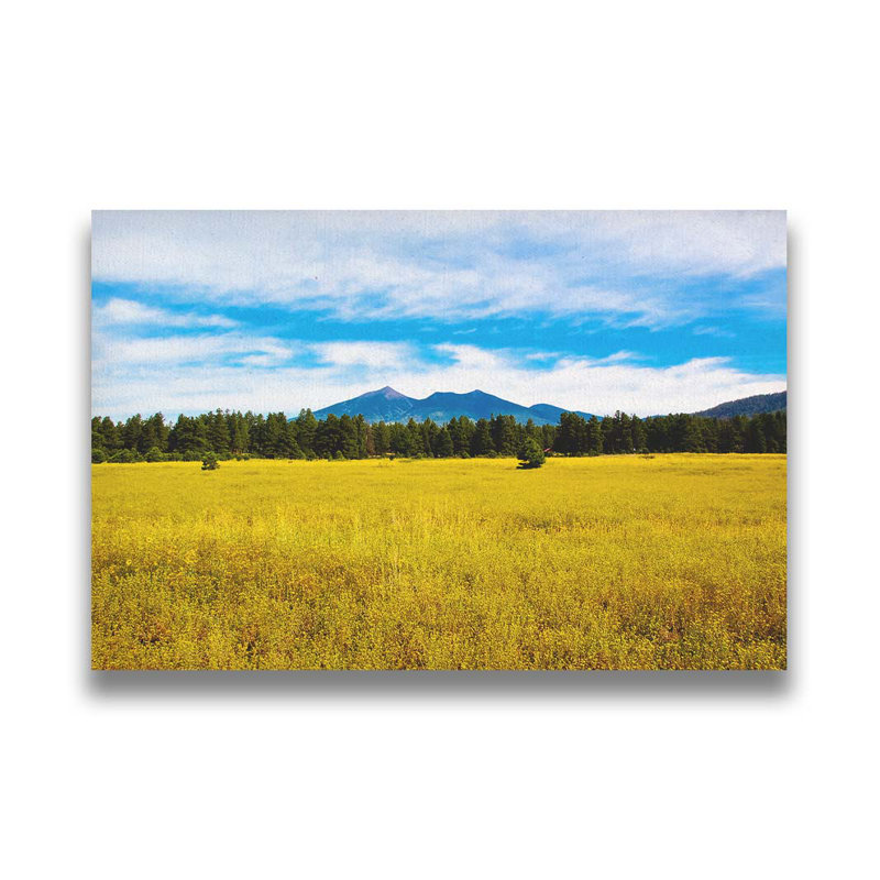San Francisco Peaks par Kelly Wade. Impression sur papier - Montée et encadrée, image, H 34 po x l 49 po