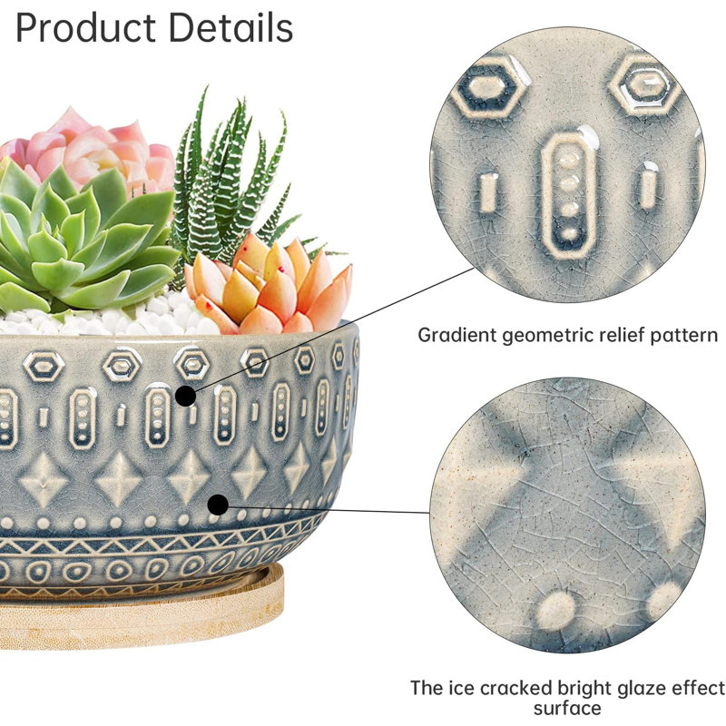 Jardinière succulente en céramique bleue 8 "avec drainage et plateau en bambou 