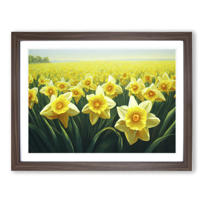 XH1022-9672X Virtuous Daffodil Flowers - Single Picture Frame Print