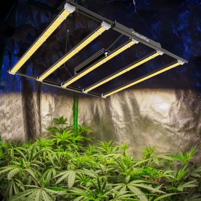 Solution d'éclairage à DEL 730W pour plantes d'intérieur, à spectre complet, écoénergétique et solution d'éclairage à haut rendement pour les serres et la culture hydroponique