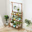 Support à plante pliable en bambou à 3 niveaux avec tringle - Présentoir polyvalent pour plantes et décorations-5583116-5583119