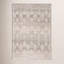 Tapis oriental gris Lynnette-236793918