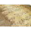 Hand Knotted Area Rug