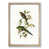 Oak Framed selected