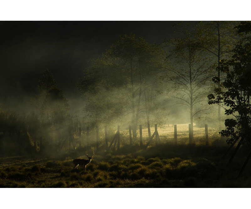 Wrapped Canvas Print, 76.2 cm H x 50.8 cm W