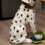 Articles de décoration modernes en résine pour chien-1158946962