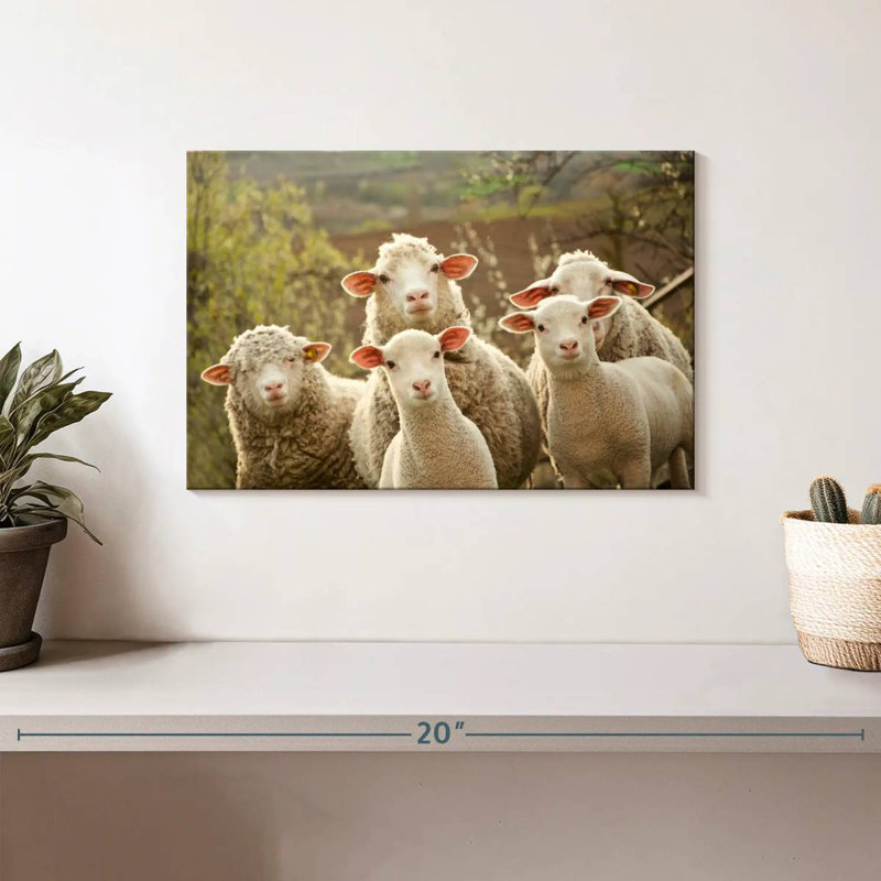 Mouton étourdi, H 8 po x l 12 po