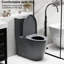 Une toilette avec double chasse d'eau 001. Siège à fermeture en douceur 1,1 / 1,6. Eau, bol allongé. Hauteur, en céramique grise Chasse, hauteur. Pour la catégorisation