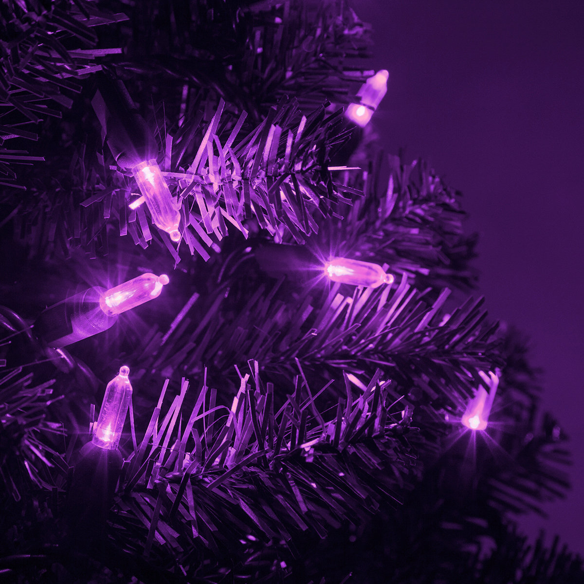 25.5' Steady LED String Lights, Purple