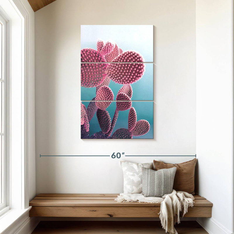 Candy Cactus
