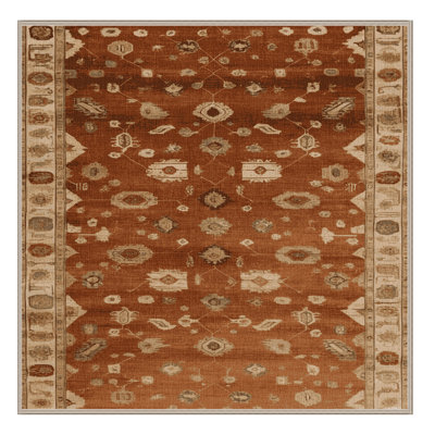 Machine Washable Overdyed Brown Area Rug