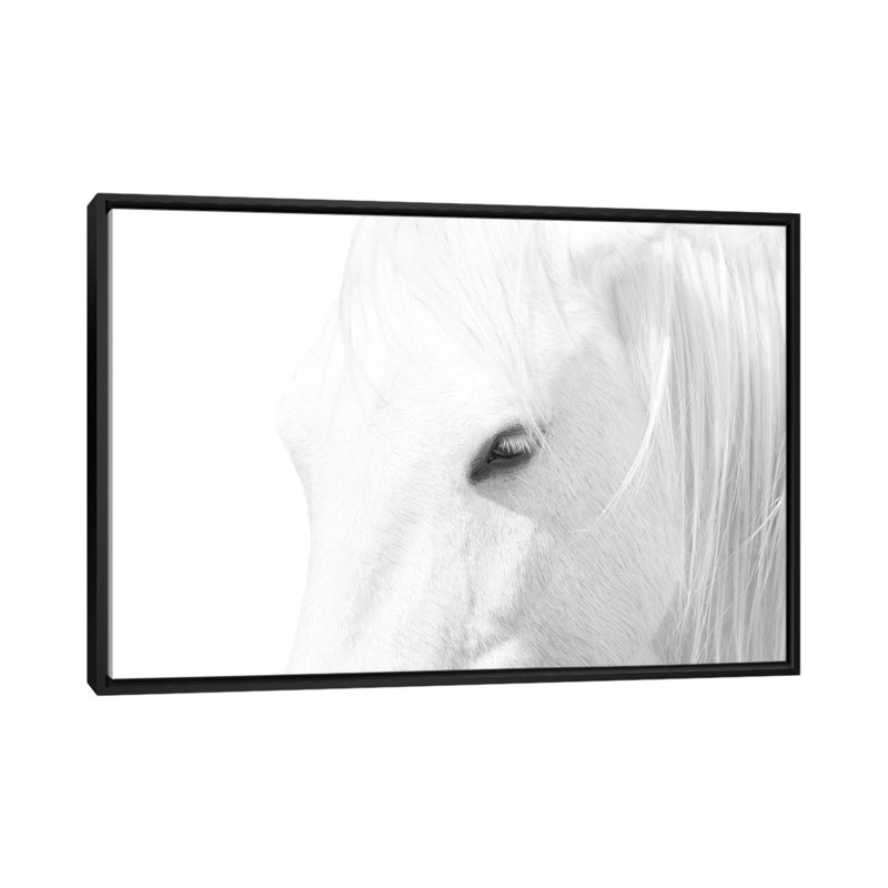« Cheval blanc » par Marco Carmassi-impression d’art graphique, Pas de tapis, H 40 po x l 60 po x 1,5 po