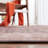 Tucson Performance Machine Washable Oriental Rug-135640205