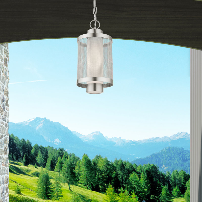 Lanterne suspendue d'extérieur Zebra, H 16,87 po x l 9 po x P 9 po, Nickel brossé