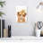 Brampt Little Lion-108354722
