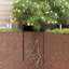 Root Barrier Black HDPE-182130493