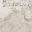 Tapis traditionnel gris délavé Hilaeira-1322302896