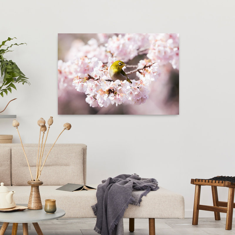 White-Eye on Sakura Blossoms 1 Piece Wrapped Canvas Wall Art, 60.96 cm H x 91.44 cm W