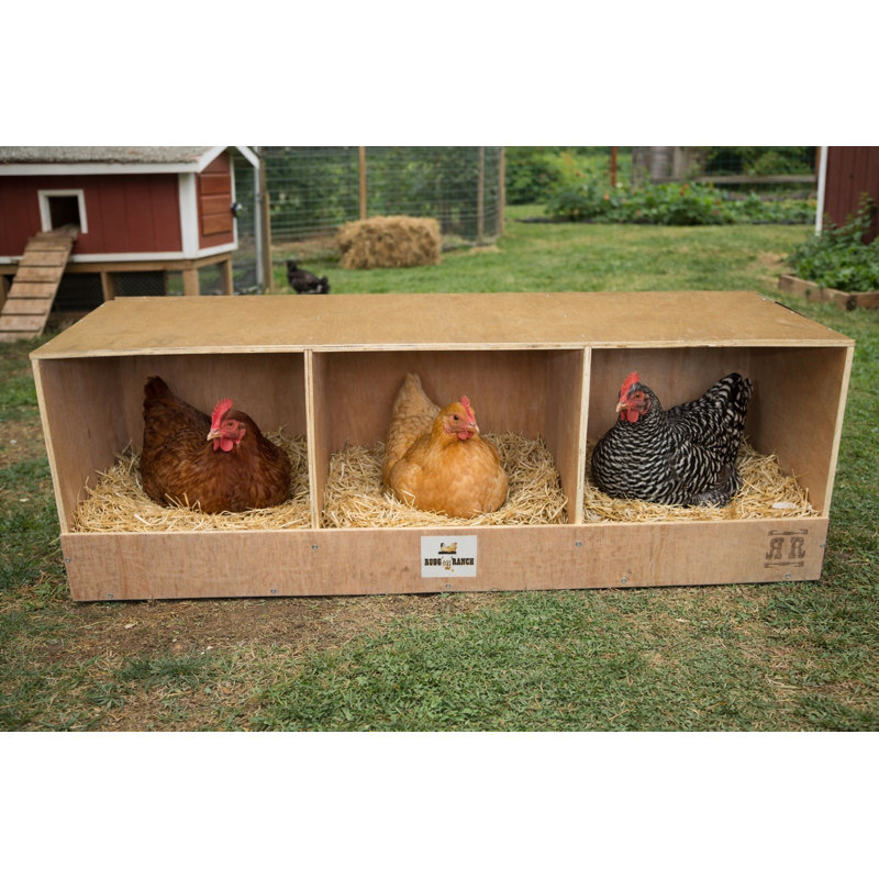 Rugg'Egg' Ranch Triplex Wooden Nesting Box