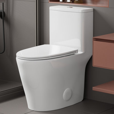 17.3＂Modern One-Piece Toilet with Powerful Dual Flush, Elongated Skirted Bathroom Toilet, Map 1000g