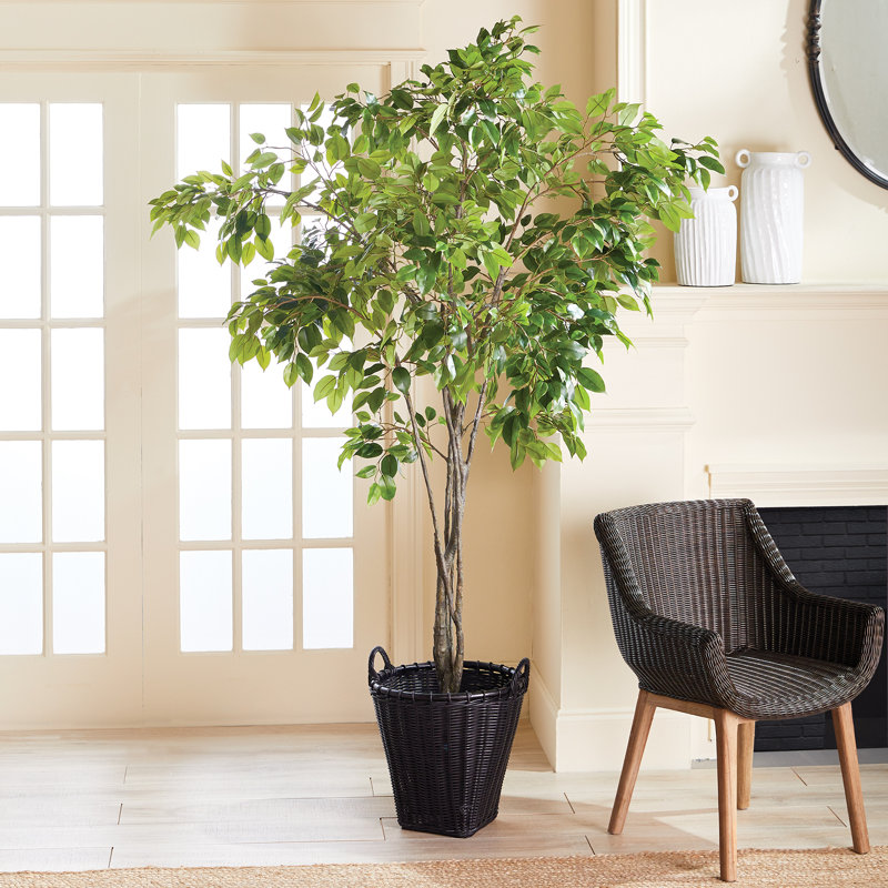 Weside Alvero Baskets