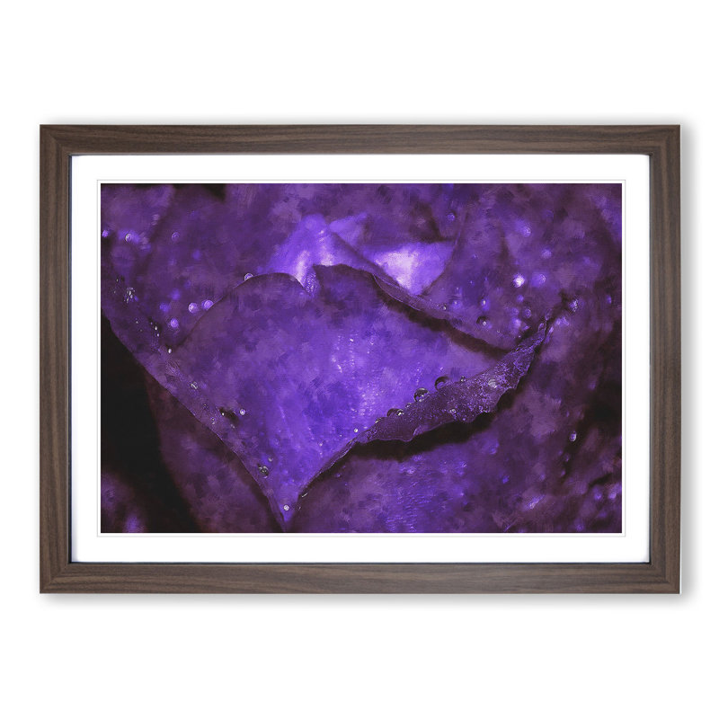 Purple Rose Flower Vol.4 - Framed Print, 27cm H x 36cm W x 2cm D, Walnut Framed