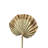 Fredson Preserved Palm Stem Bundle