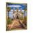 Gold Single Picture Frame