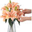 Ensemble de 20 pièces de lis de Calla artificiel avec vase en verre et eau artificielle pour la décoration intérieure-1044957318