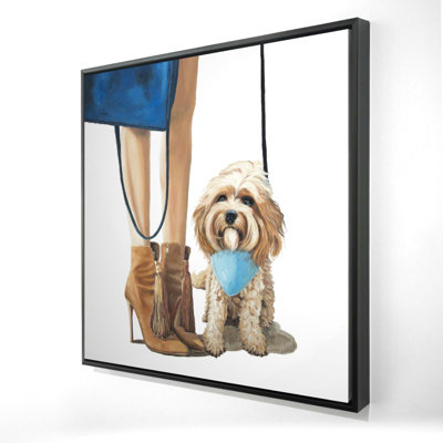" Fashionable Cavoodle Dog "