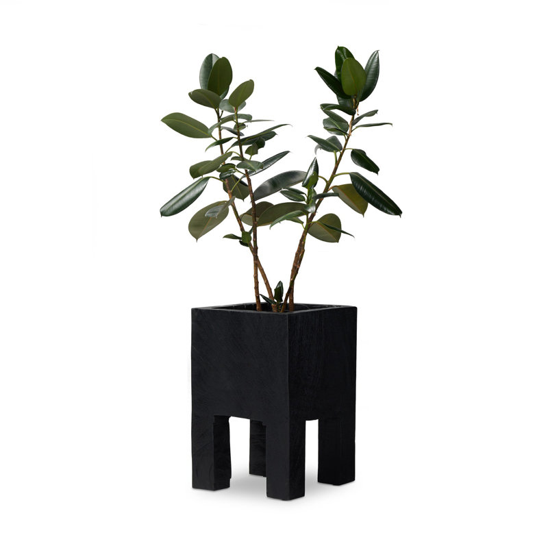 Jardinière Hoarce - Brûlé récupéré, H 25,75 po x l 16 po x P 16 po, Noir carbonisé