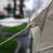 Chierika 10' W x 20' D Heavy Duty Carport