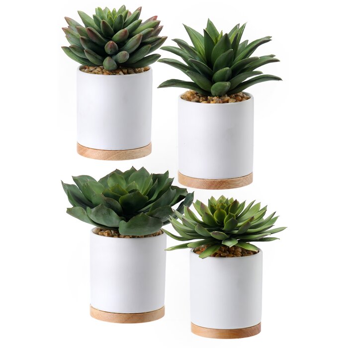 Orren Ellis 4 Artificial Agave Succulent in Pot Set & Reviews | Wayfair