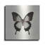 «Butterfly III BW» par Debra Van Swearingen-402649230