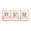 Figure and Form. Set of 3 by Romina Gadler - Framed Wall Art-395960272-395960275
