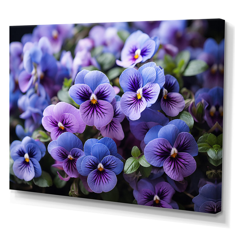 «Purple Pansies Field Vibrant» sur toile, Toile tendue, H 16 po x l 32 po x P 1 po