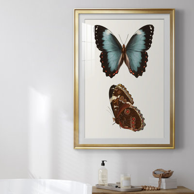 «Antique Blue Butterflies IV», reproduction encadrée de qualité supérieure - prête à être accrochée