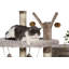 Arbre à chat 61 po Hodgson Kitty