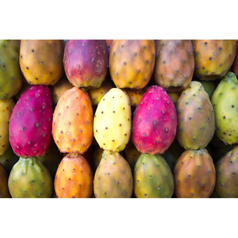 Prickly Pears Lined Up - Wrapped Canvas Print, 61cm H x 91cm W