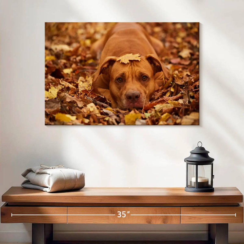 Cute Autumn Pitbull