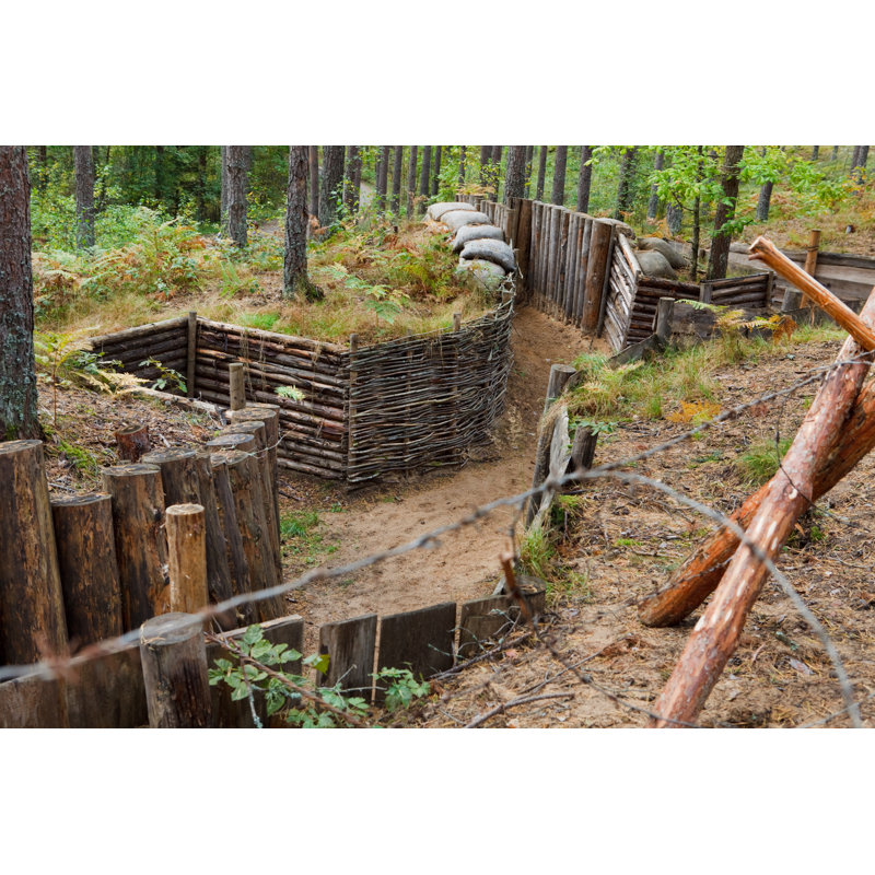 Defench Trench in Forest par Intst - Photographie sur toile tendue, L 12 po x H 8 po