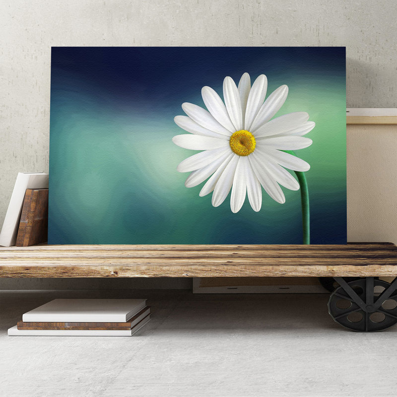 Beautiful White Daisy Photographic - Wrapped Canvas, 40cm H x 60cm W