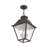 Fraida Bulb Outdoor Hanging Lantern-22670234