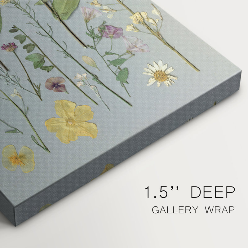 Organic Study II -Gallery Wrapped Cavas, 18" H x 12" W
