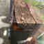 Customer photo 4 of 5